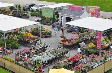 Mcdonalds garden center - Kiernans Garden Centre, Douglas, Cork. 612 likes · 1 talking about this · 46 were here. Kiernan’s Garden Center is a local, family owned business dedicated to quality. Call down and see our fantastic...